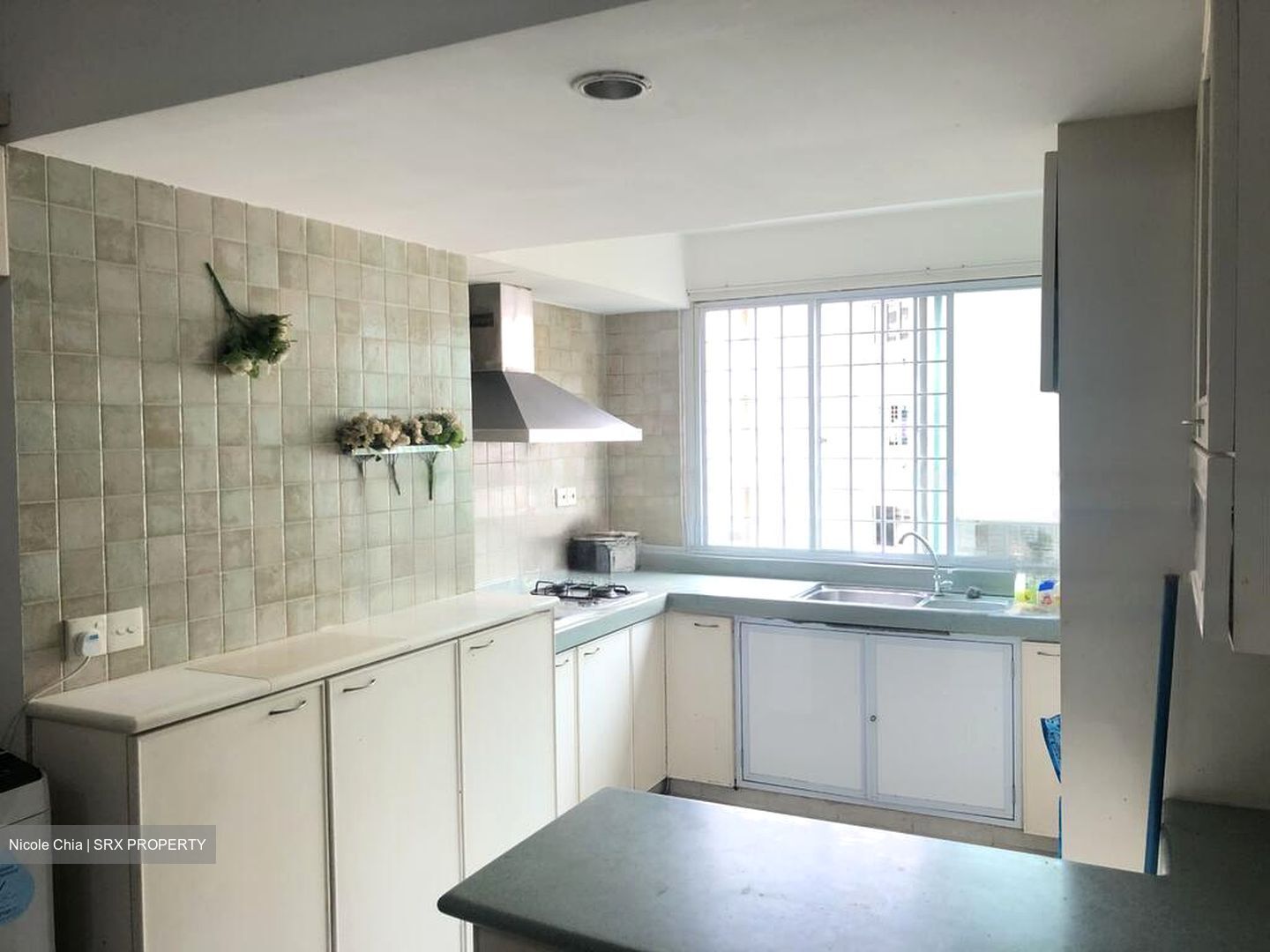 Pandan Valley (D21), Condominium #469116721